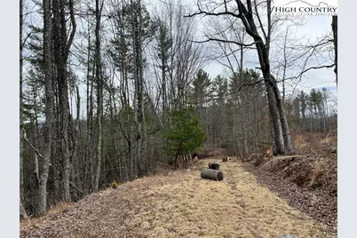 No # Edna Perry Road, Crumpler, NC 28617 - Photo 5