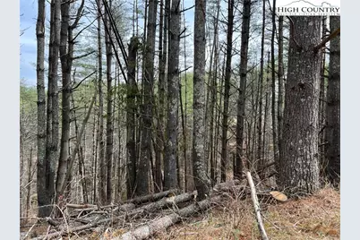 No # Edna Perry Road, Crumpler, NC 28617 - Photo 7