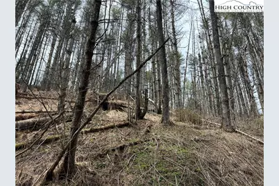 No # Edna Perry Road, Crumpler, NC 28617 - Photo 5