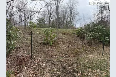Lot 11 Linville River Drive, Linville, NC 28646 - Photo 23