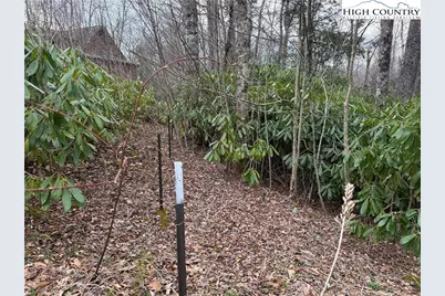 Lot 11 Linville River Drive, Linville, NC 28646 - Photo 25