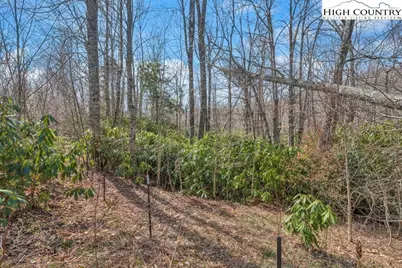 Lot 11 Linville River Drive, Linville, NC 28646 - Photo 9