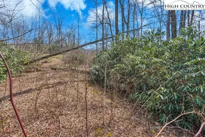 Lot 11 Linville River Drive, Linville, NC 28646 - Photo 7