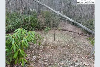 Lot 11 Linville River Drive, Linville, NC 28646 - Photo 19
