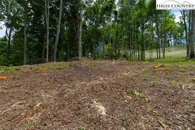Lot 185 & 188 Raspberry Lane, Elk Park, NC 28622 - Photo 5