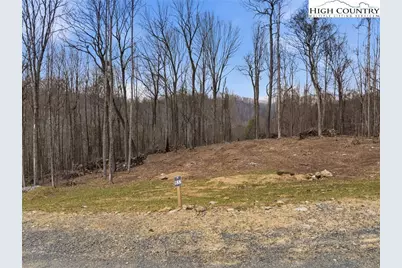 Lot 185 & 188 Raspberry Lane, Elk Park, NC 28622 - Photo 23