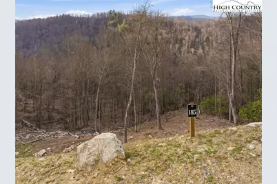 Lot 185 & 188 Raspberry Lane, Elk Park, NC 28622 - Photo 19