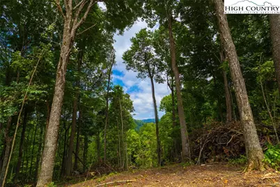 Lot 185 & 188 Raspberry Lane, Elk Park, NC 28622 - Photo 7