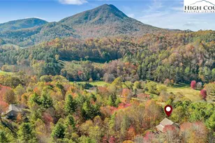 170 Lenape Ln, Creston, NC 28615 - Photo 3