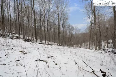 Lot 34 Poplar Forest Drive, Boone, NC 28607 - Photo 9