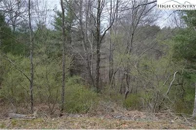 Lot #9 Isabel Way, Piney Creek, NC 28663 - Photo 7