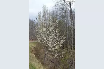 Lot #9 Isabel Way, Piney Creek, NC 28663 - Photo 29