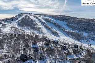 103 Upper Holiday Ln, Beech Mountain, NC 28604 - Photo 27