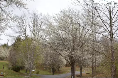 Lot #33 Georginia Way, Piney Creek, NC 28663 - Photo 33