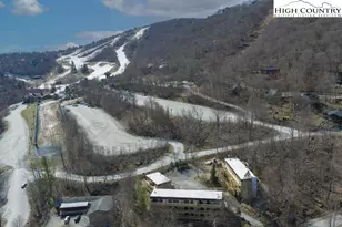 100 Lower Holiday Ln, Beech Mountain, NC 28604 - Photo 27