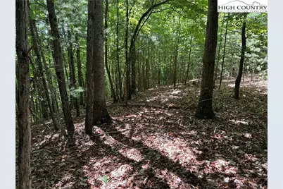 133 Steeple Chase Trail, McGrady, NC 28649 - Photo 5