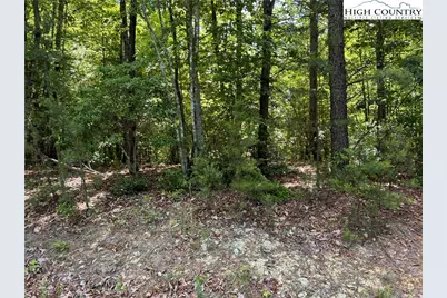 133 Steeple Chase Trail, McGrady, NC 28649 - Photo 3