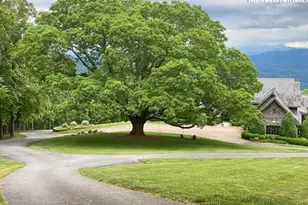 733 Dogwood Ln, Blowing Rock, NC 28605 - Photo 3