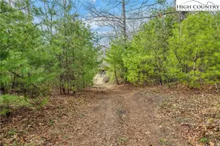 115 Old Obids Rd, West Jefferson, NC 28694 - Photo 45