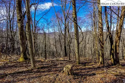 Tbd Little Tree Lane, Banner Elk, NC 28604 - Photo 1