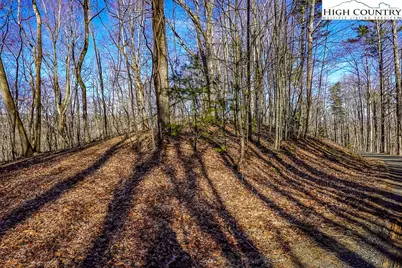 Tbd Little Tree Lane, Banner Elk, NC 28604 - Photo 3