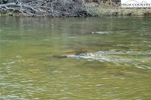 461 E Hidden Mountain Ln, Crumpler, NC 28617 - Photo 35