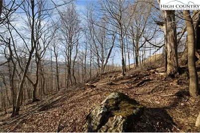 Tbd Lauren Lane, West Jefferson, NC 28694 - Photo 9