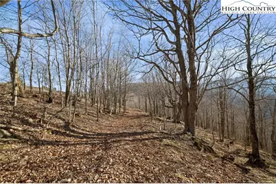 Tbd Lauren Lane, West Jefferson, NC 28694 - Photo 15