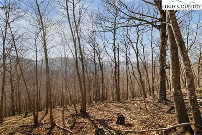 Tbd Lauren Lane, West Jefferson, NC 28694 - Photo 13