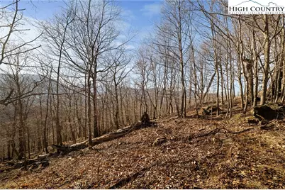 Tbd Lauren Lane, West Jefferson, NC 28694 - Photo 7