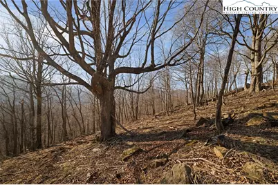 Tbd Lauren Lane, West Jefferson, NC 28694 - Photo 11