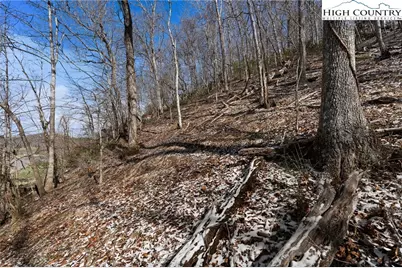 Lot 7 & 8 Happy Hunt Drive, Piney  Creek, NC 28631 - Photo 9