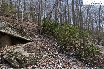 Lot 7 & 8 Happy Hunt Drive, Piney  Creek, NC 28631 - Photo 11