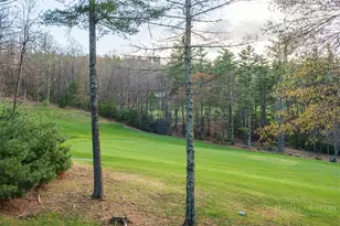 442 Country Club Rd, Glade Valley, NC 28627 - Photo 31