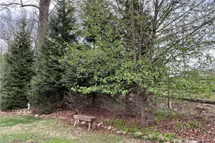 3162 Chestnut Grove Church Rd, Sparta, NC 28675 - Photo 47