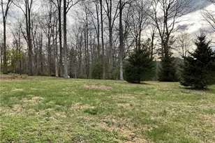 3162 Chestnut Grove Church Rd, Sparta, NC 28675 - Photo 41
