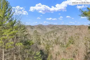 801 Wagon Ridge Ln, Ferguson, NC 28624 - Photo 9