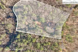 801 Wagon Ridge Ln, Ferguson, NC 28624 - Photo 7