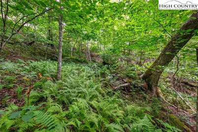 Lot 201 Twin Rivers Drive, Boone, NC 28607 - Photo 9