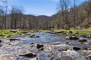 38 Eagle Cottage Ln, Banner Elk, NC 28604 - Photo 3