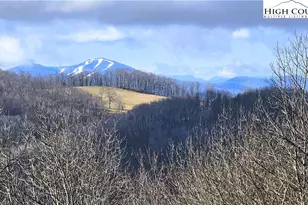 480 Schoolhouse Ridge /David Sides Rd, Boone, NC 28607 - Photo 45