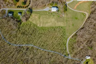 480 Schoolhouse Ridge /David Sides Rd, Boone, NC 28607 - Photo 47