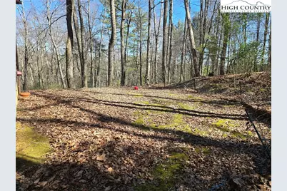 196 High Meadows Court, Fleetwood, NC 28626 - Photo 5