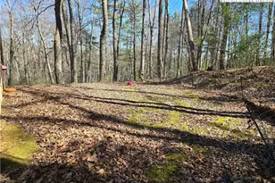 196 High Meadows Ct, Fleetwood, NC 28626 - Photo 5