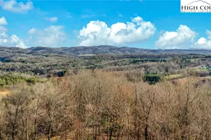 871 Lower Nettle Knob Rd, West Jefferson, NC 28694 - Photo 3