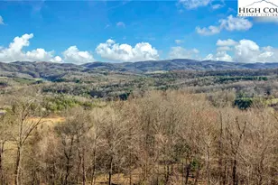 871 Lower Nettle Knob Rd, West Jefferson, NC 28694 - Photo 43