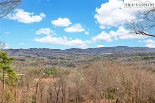 871 Lower Nettle Knob Rd, West Jefferson, NC 28694 - Photo 45