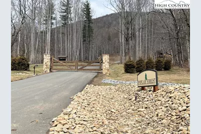 Lot 38 Poplar Forest Drive, Boone, NC 28607 - Photo 5