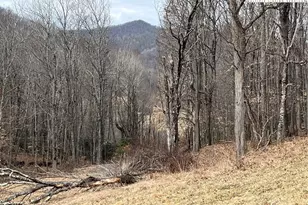 Lot 38 Poplar Forest Dr, Boone, NC 28607 - Photo 1