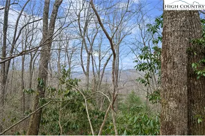 Lot 8 Heavenly Mountain Drive, Boone, NC 28607 - Photo 13